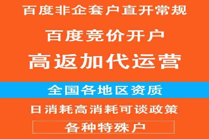 竞价广告的投放策略与网络推广的实践案例